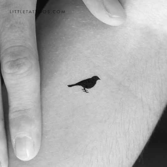 Tatuaje temporal de pájaro en pie - Juego de 3