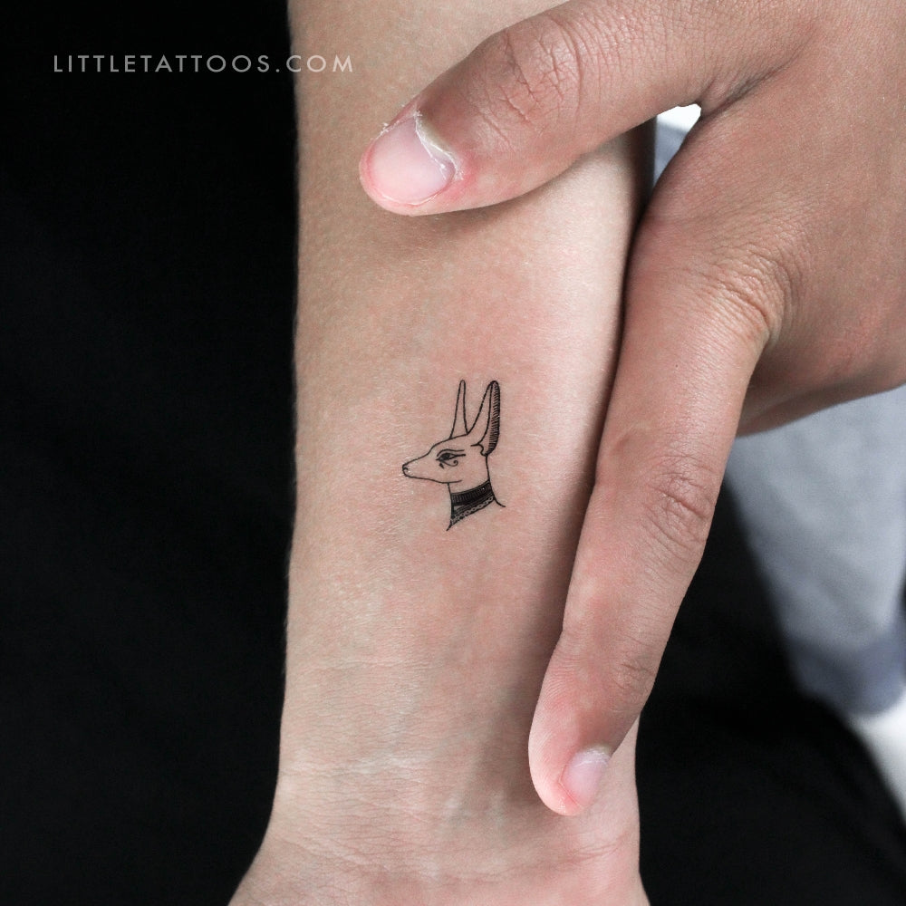Tatuaje temporal de Anubis - Juego de 3