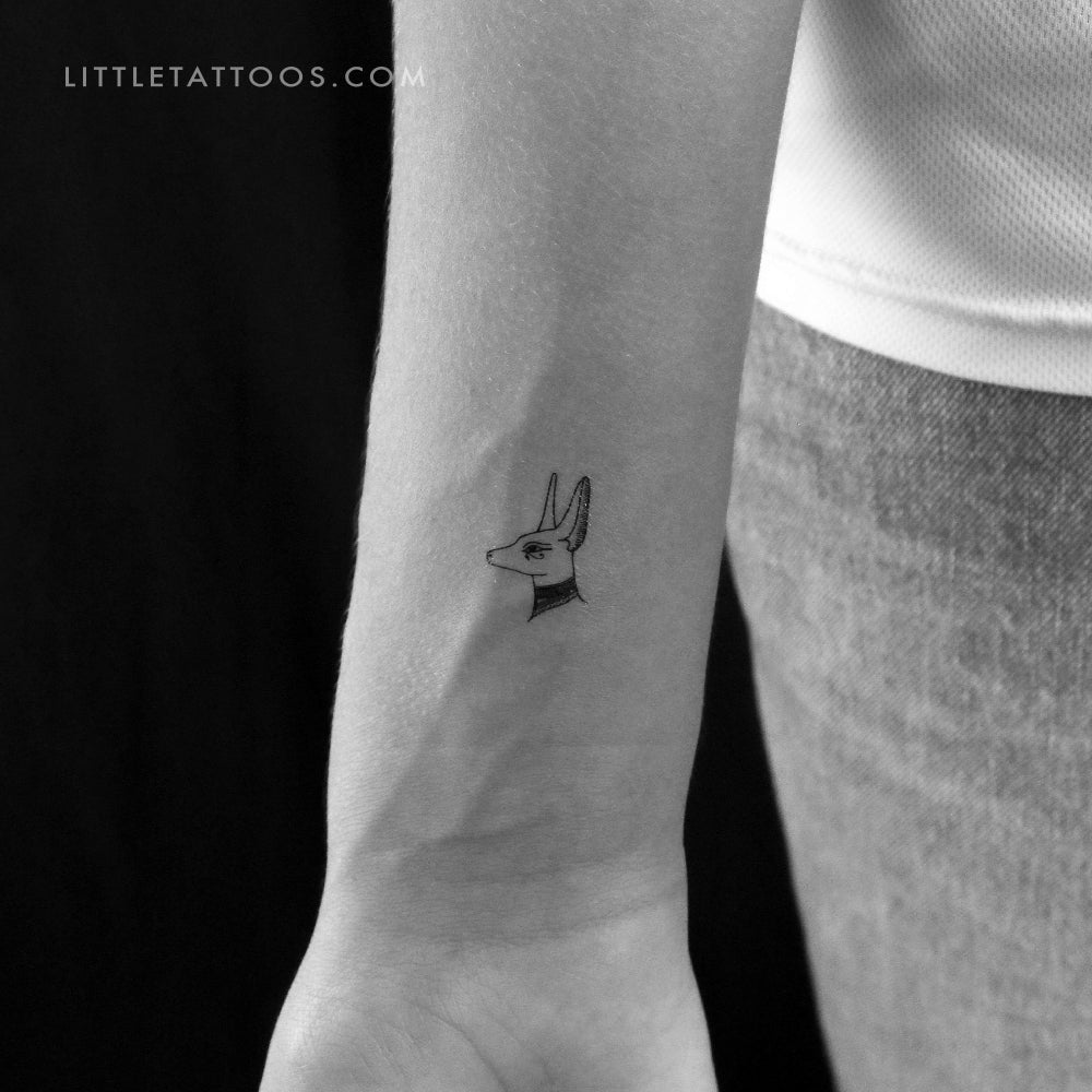 Tatuaje temporal de Anubis - Juego de 3