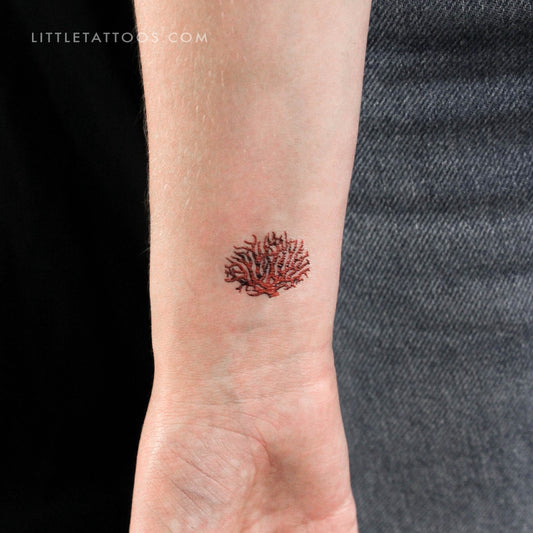 Tatuaje temporal de coral rojo - Juego de 3