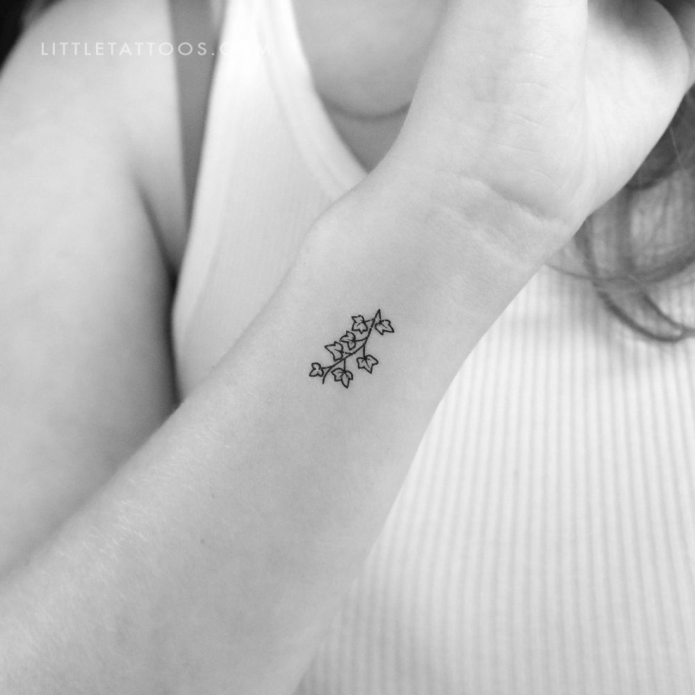 Tatuaje temporal de hiedra pequeña - Juego de 3