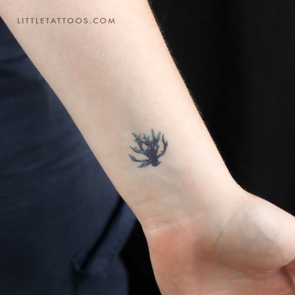 Tatuaje temporal de coral azul - Juego de 3