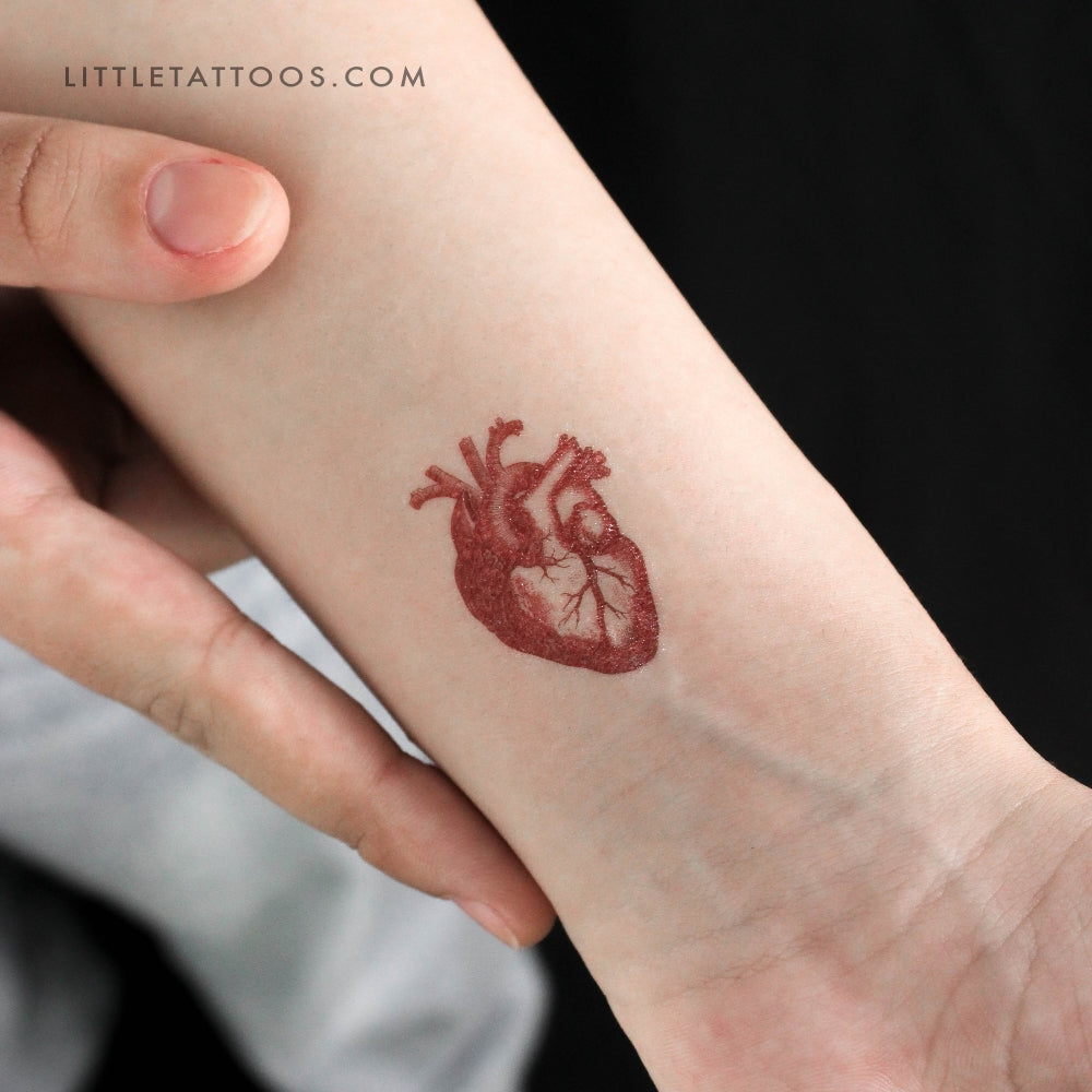 Tatuaje temporal de corazón anatómico rojo (juego de 3)