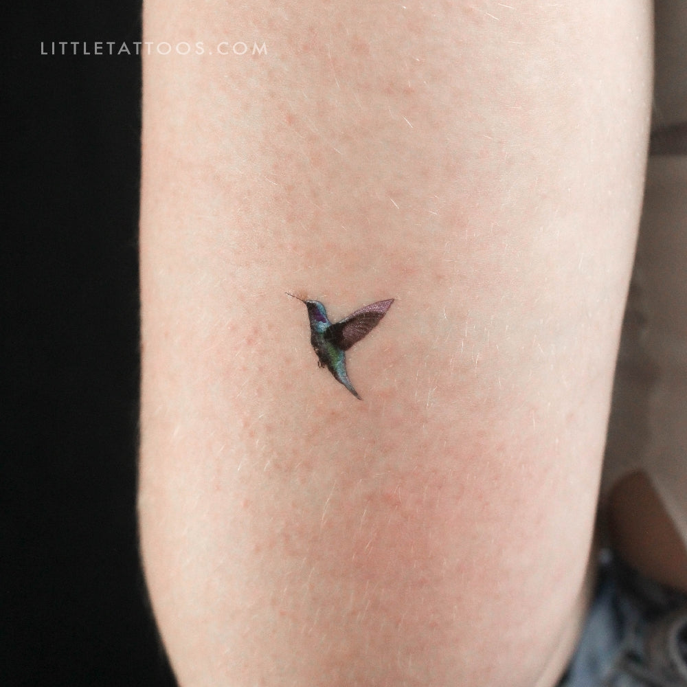 Tatuaje temporal de colibrí realista - Juego de 3