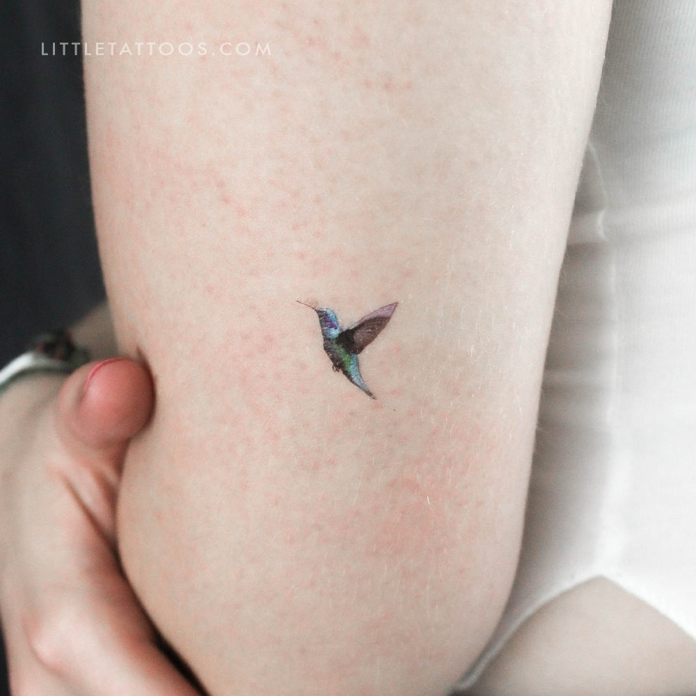 Tatuaje temporal de colibrí realista - Juego de 3