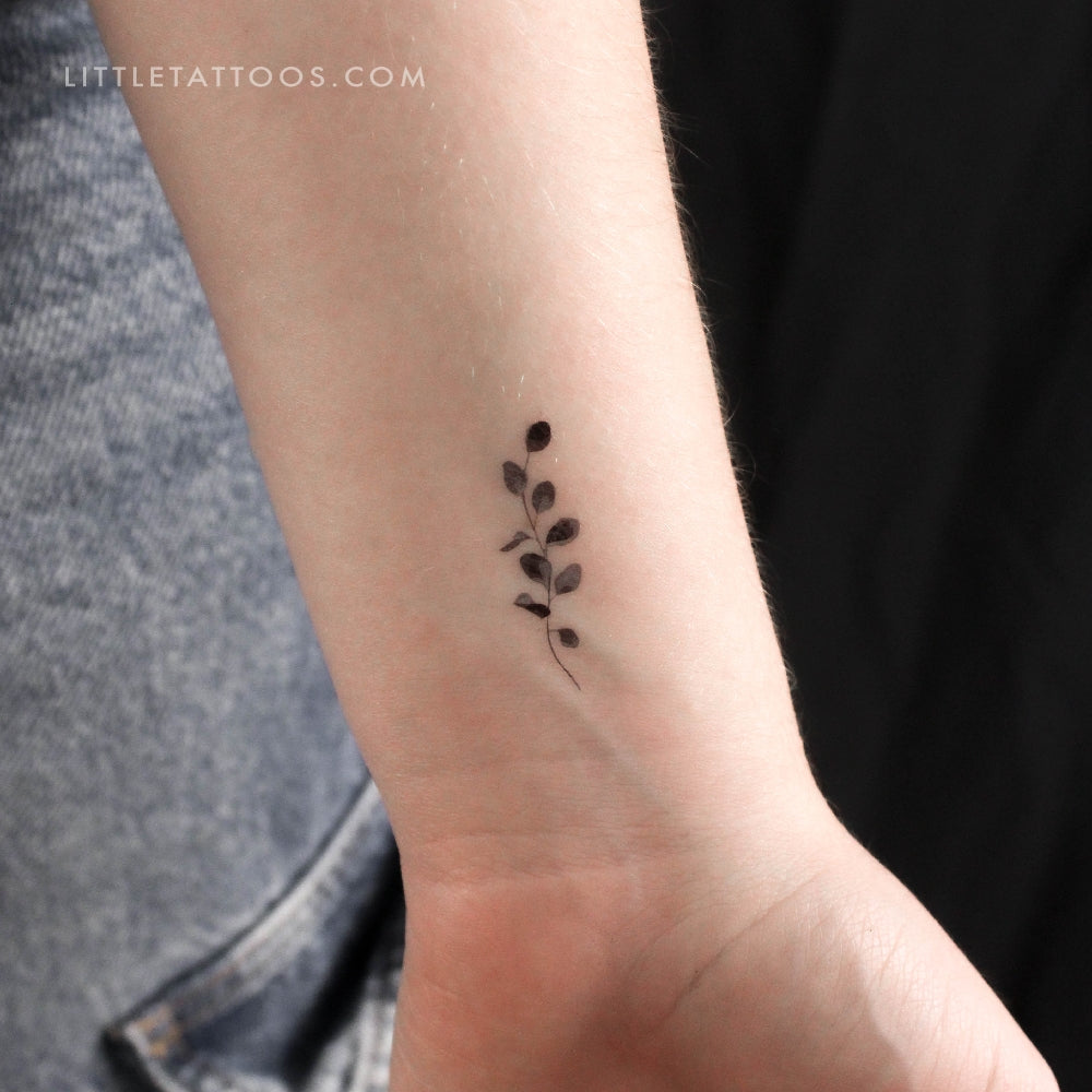 Tatuaje temporal de eucalipto - Juego de 3