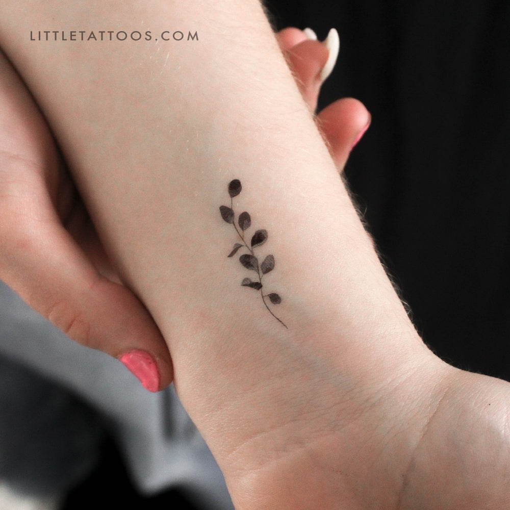 Tatuaje temporal de eucalipto - Juego de 3