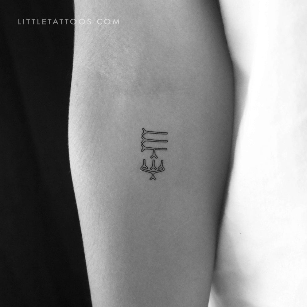 Hermoso tatuaje temporal de contorno de error - Juego de 3