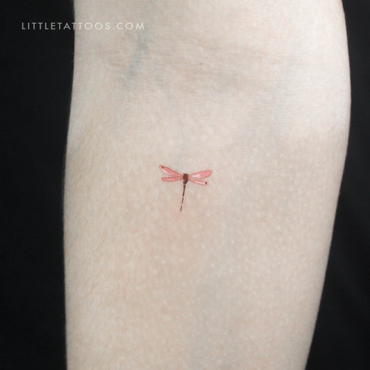 Tatuaje temporal de libélula roja en acuarela (juego de 3)