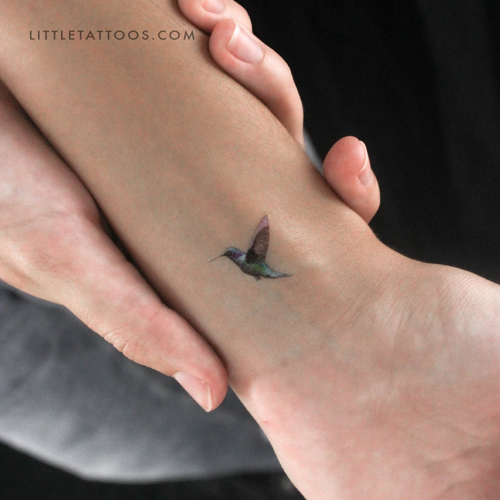 Tatuaje temporal de colibrí realista - Juego de 3