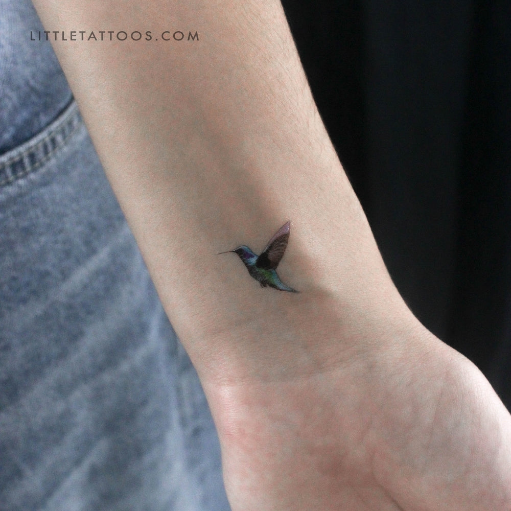 Tatuaje temporal de colibrí realista - Juego de 3
