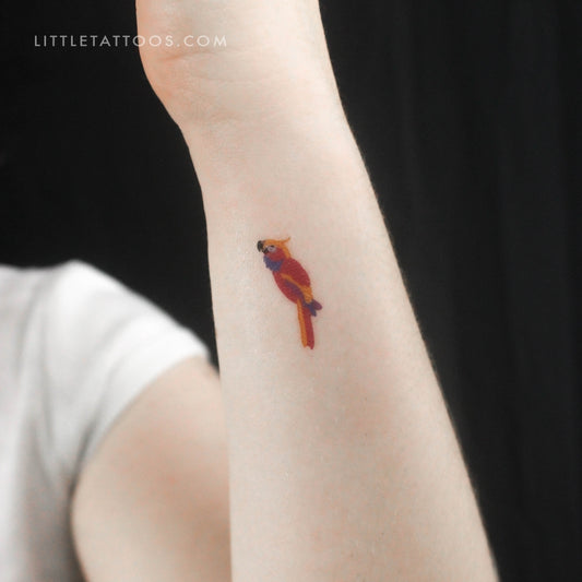 Tatuaje temporal de loro - Juego de 3