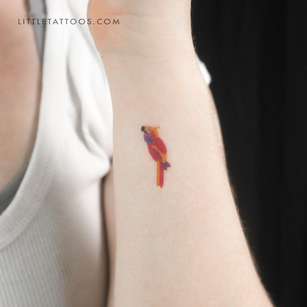 Tatuaje temporal de loro - Juego de 3