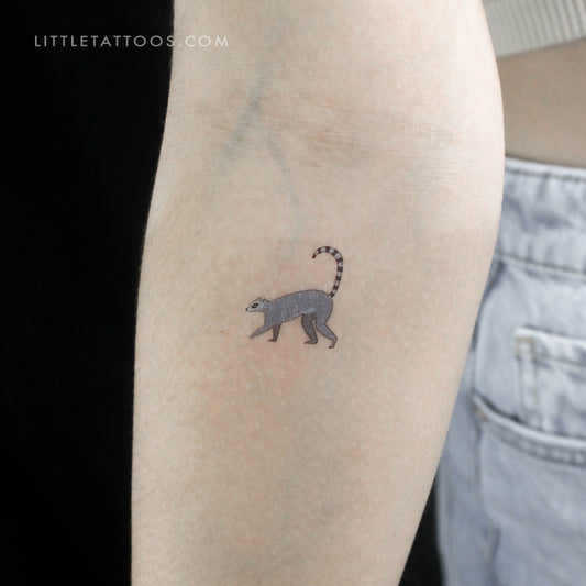 Tatuaje temporal de lémur - Juego de 3