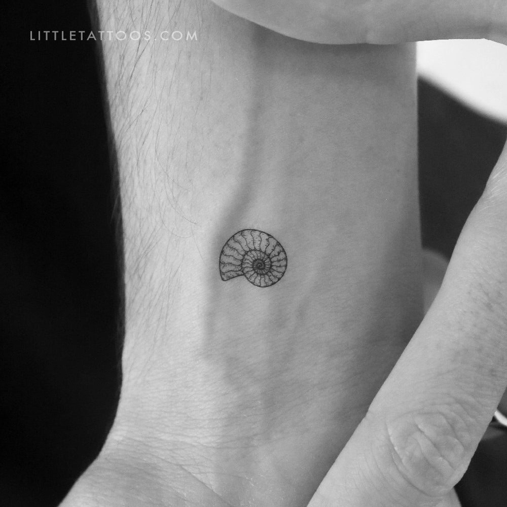 Ammonite Temporary Tattoo - Set of 3