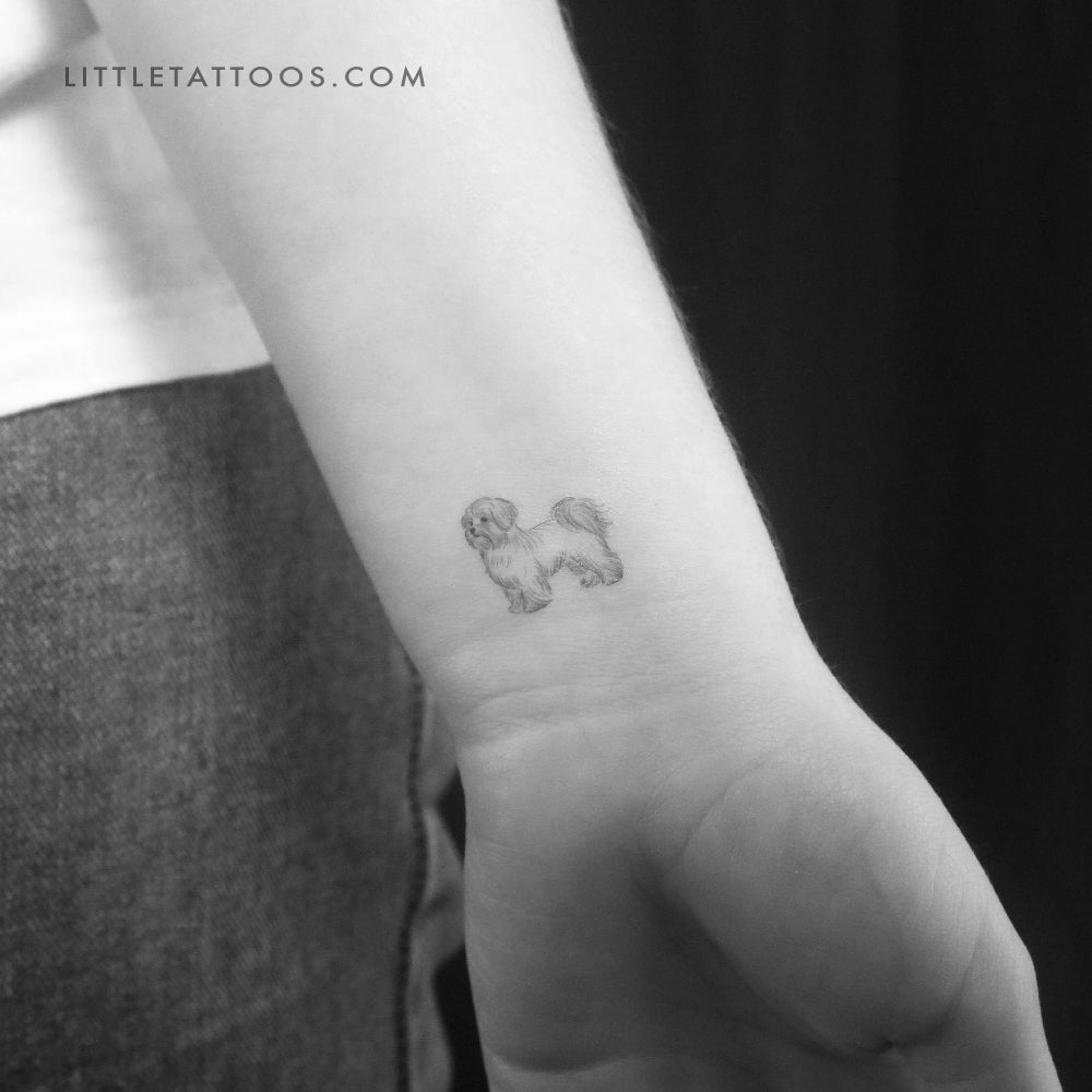 Tatuaje temporal de maltés - Juego de 3
