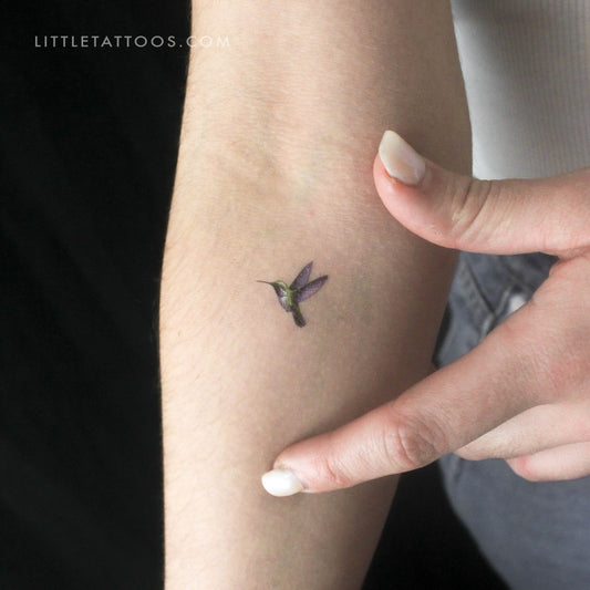Tatuaje temporal de colibrí en acuarela (juego de 3)