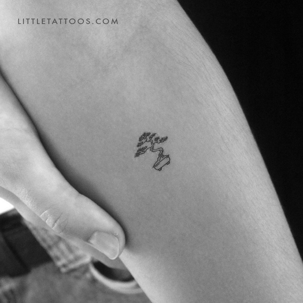 Little Bonsai Temporary Tattoo - Set of 3