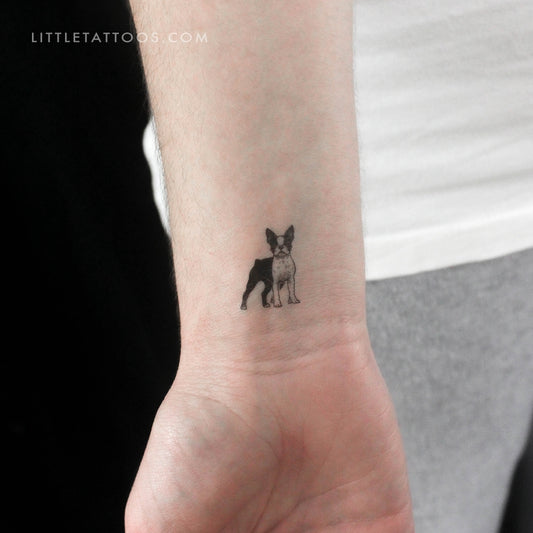 Boston Terrier Temporary Tattoo - Set of 3