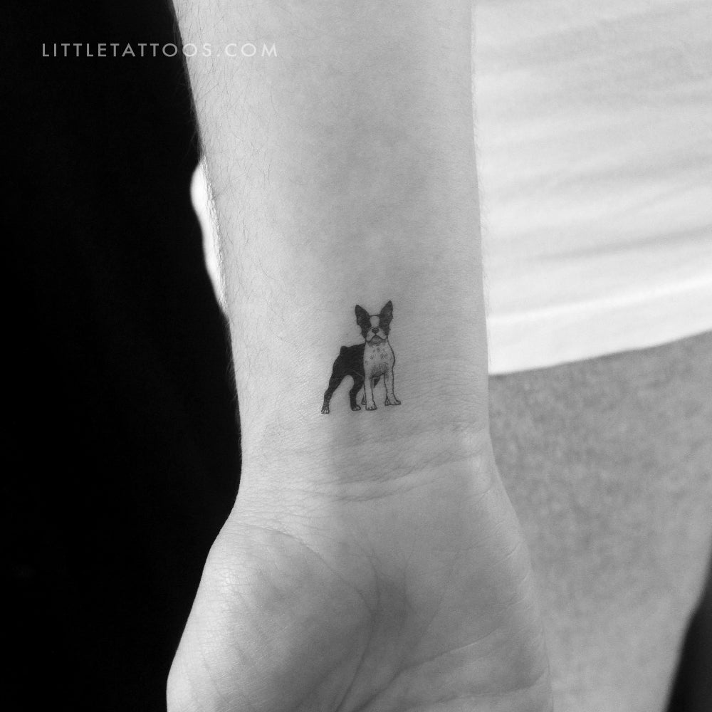 Boston Terrier Temporary Tattoo - Set of 3