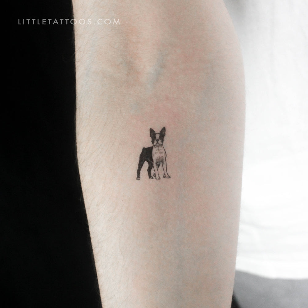 Boston Terrier Temporary Tattoo - Set of 3
