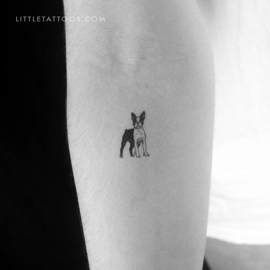 Boston Terrier Temporary Tattoo - Set of 3