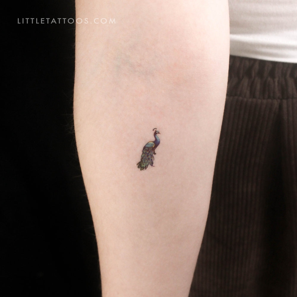 Small Peacock Temporary Tattoo - Set of 3