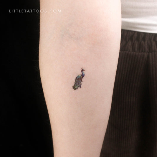 Tatuaje temporal de pavo real pequeño - Juego de 3