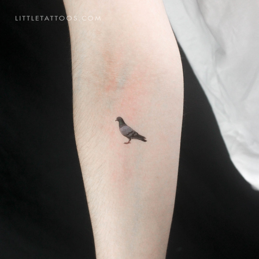 Pigeon Temporary Tattoo - Set of 3
