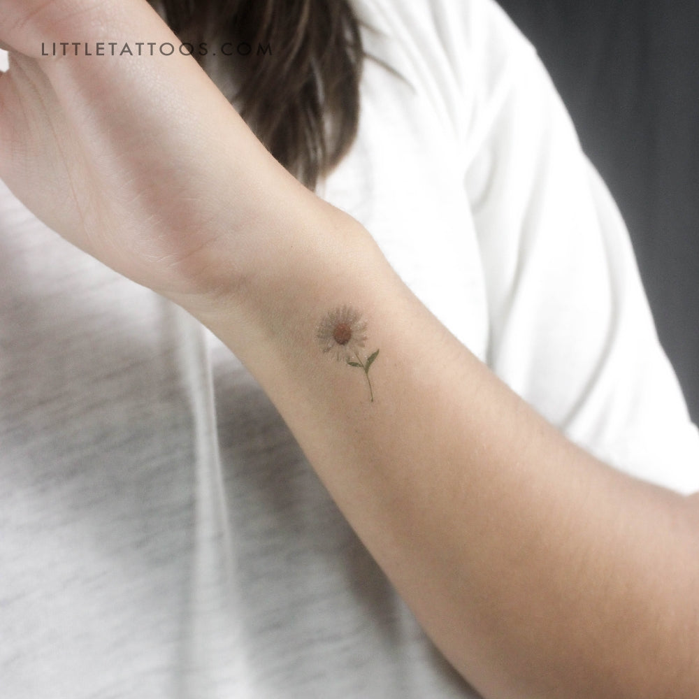 Tatuaje temporal de margarita pequeña - Juego de 3