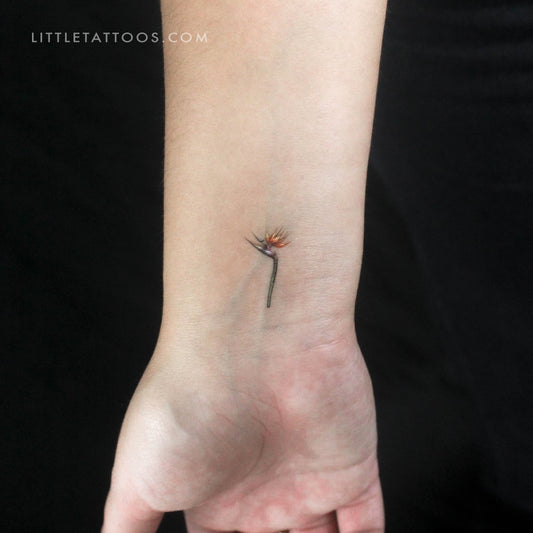 Small Watercolor Bird Of Paradise Temporary Tattoo - Set of 3