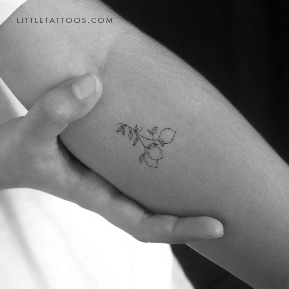 Small Lemon Branch Temporary Tattoo - Set of 3