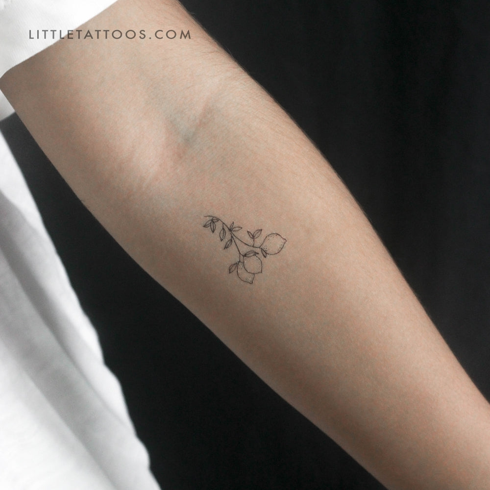 Small Lemon Branch Temporary Tattoo - Set of 3