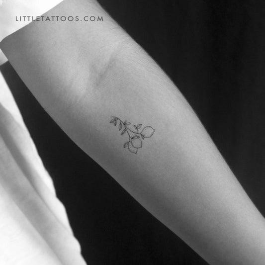 Tatuaje temporal de rama de limón pequeña (juego de 3)