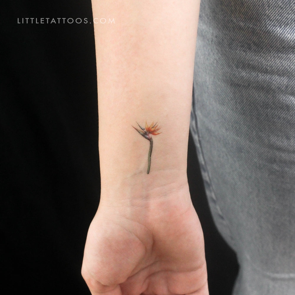 Small Watercolor Strelitzia Temporary Tattoo - Set of 3