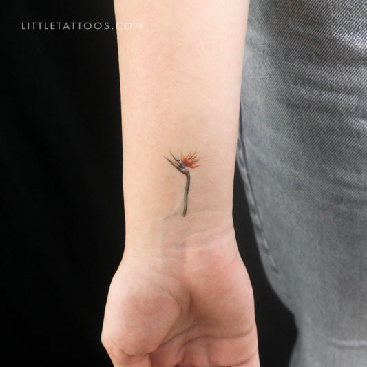 Small Watercolor Strelitzia Temporary Tattoo - Set of 3
