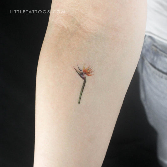 Small Watercolor Strelitzia Temporary Tattoo - Set of 3