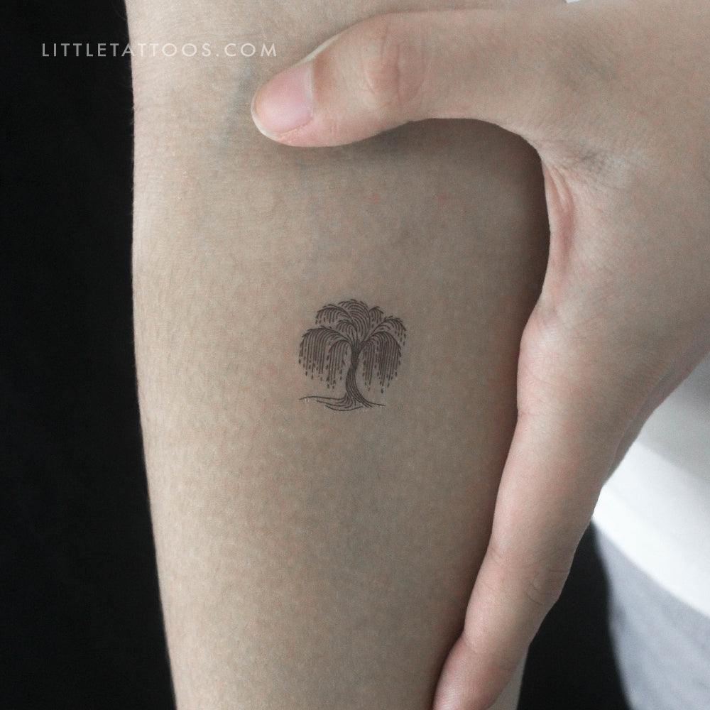 Minimalist Weeping Willow Temporary Tattoo - Set of 3