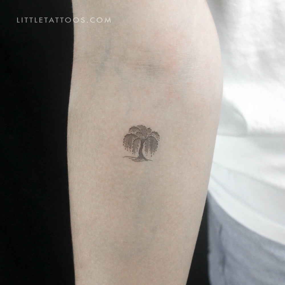 Minimalist Weeping Willow Temporary Tattoo - Set of 3