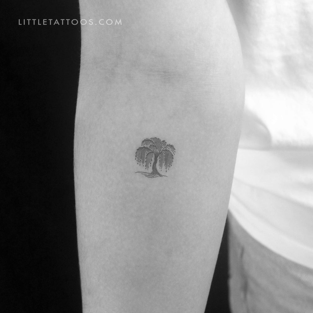 Minimalist Weeping Willow Temporary Tattoo - Set of 3