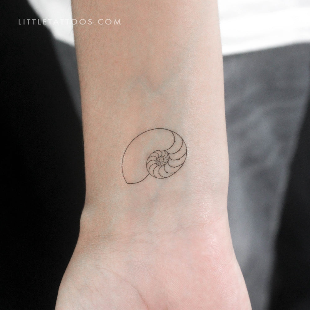 Tatuaje temporal de concha de nautilus - Juego de 3