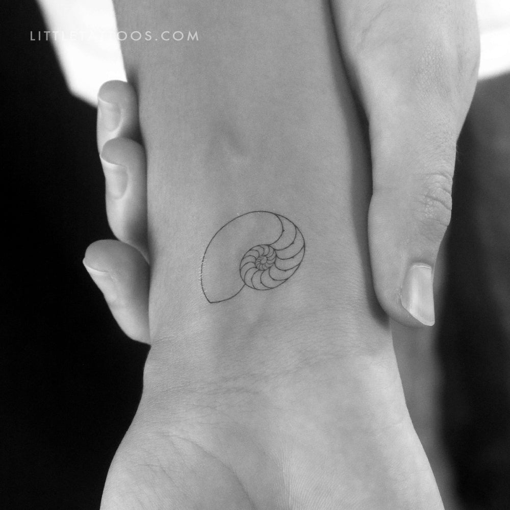 Tatuaje temporal de concha de nautilus - Juego de 3