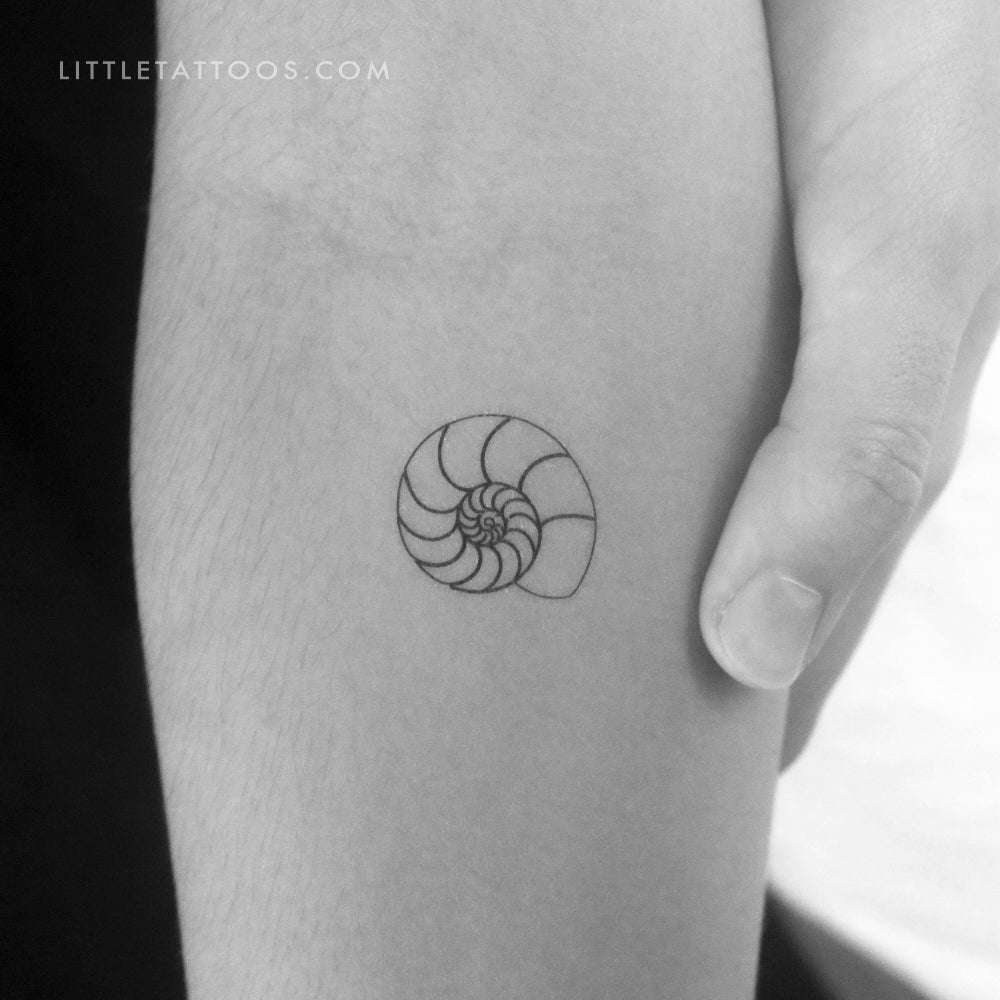 Ammonite Shell Temporary Tattoo - Set of 3