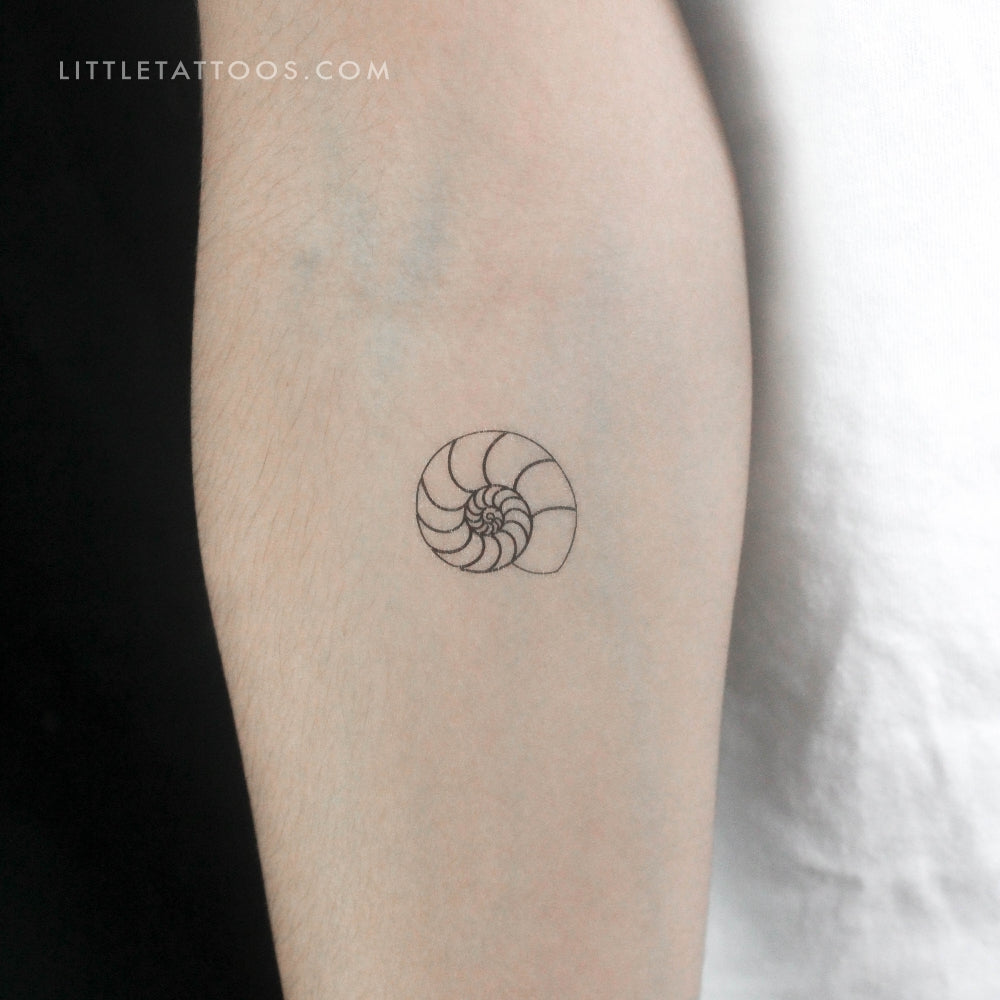 Ammonite Shell Temporary Tattoo - Set of 3