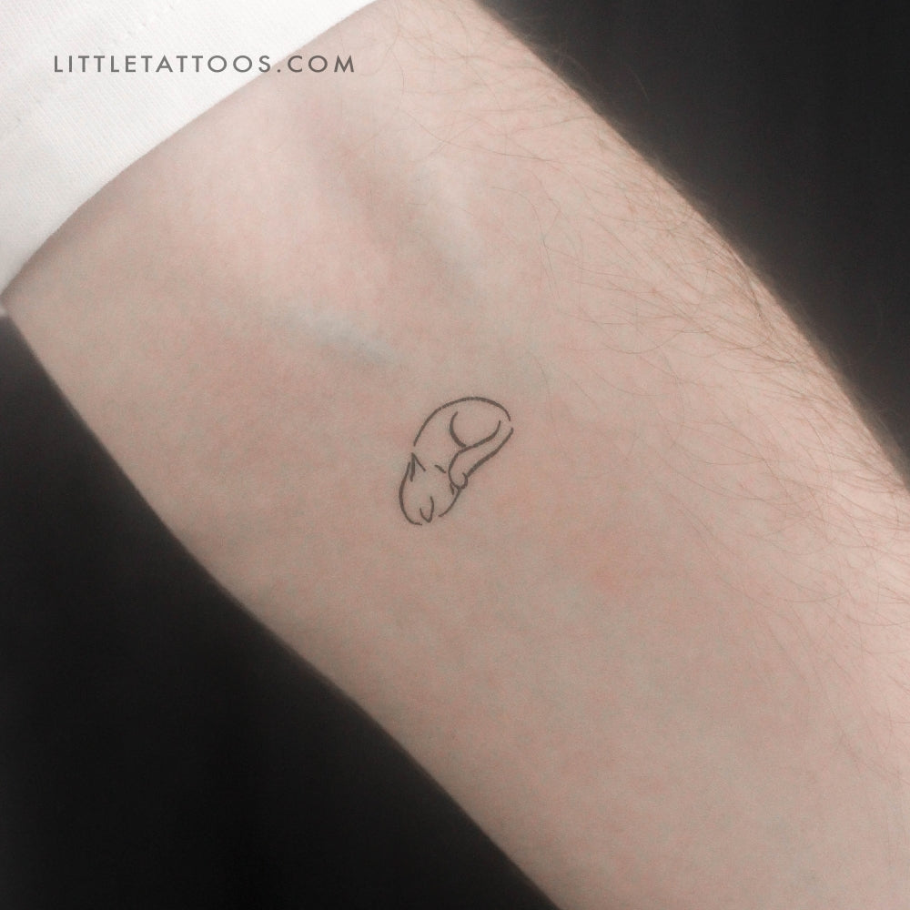 Tatuaje temporal de gato soñoliento - Juego de 3