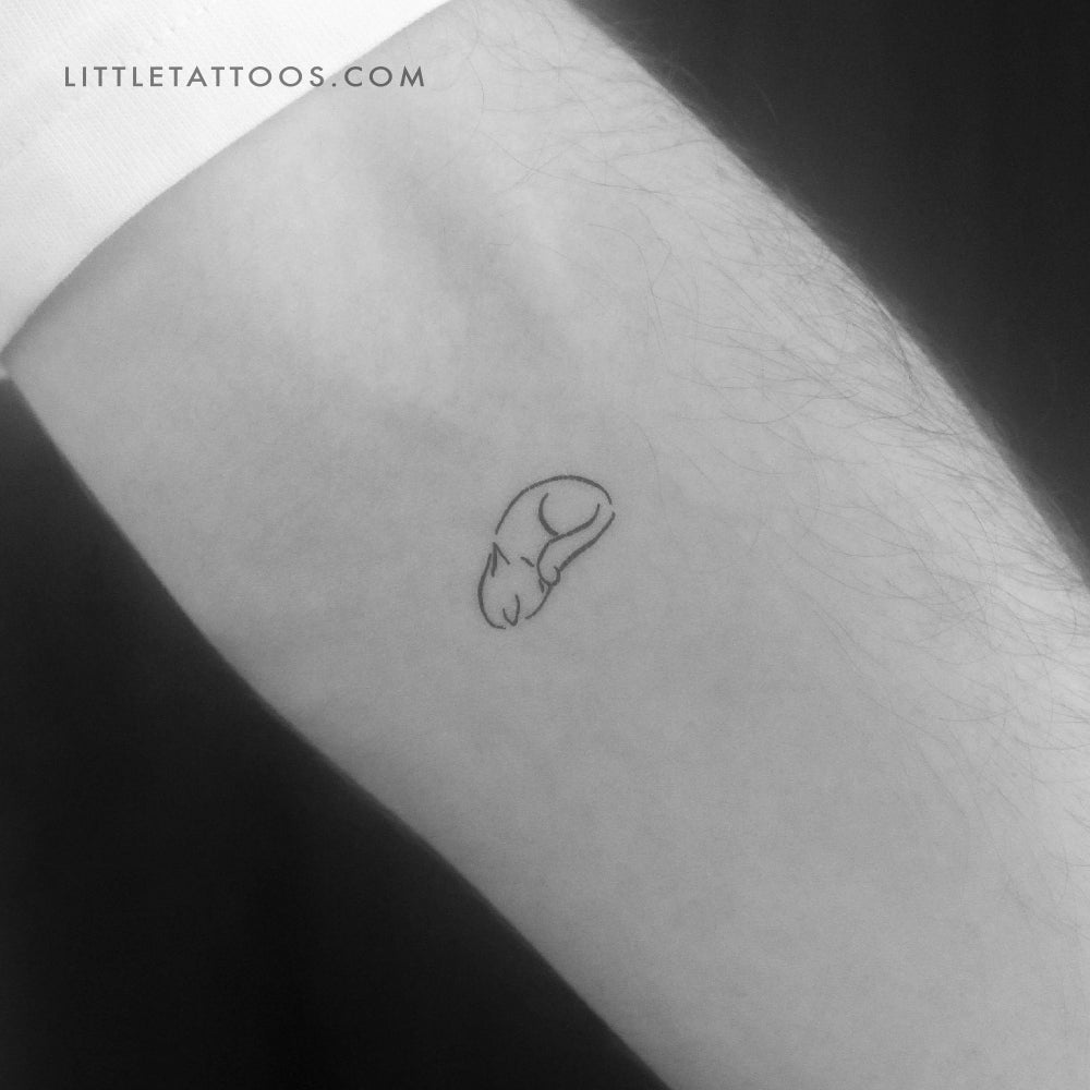 Tatuaje temporal de gato soñoliento - Juego de 3