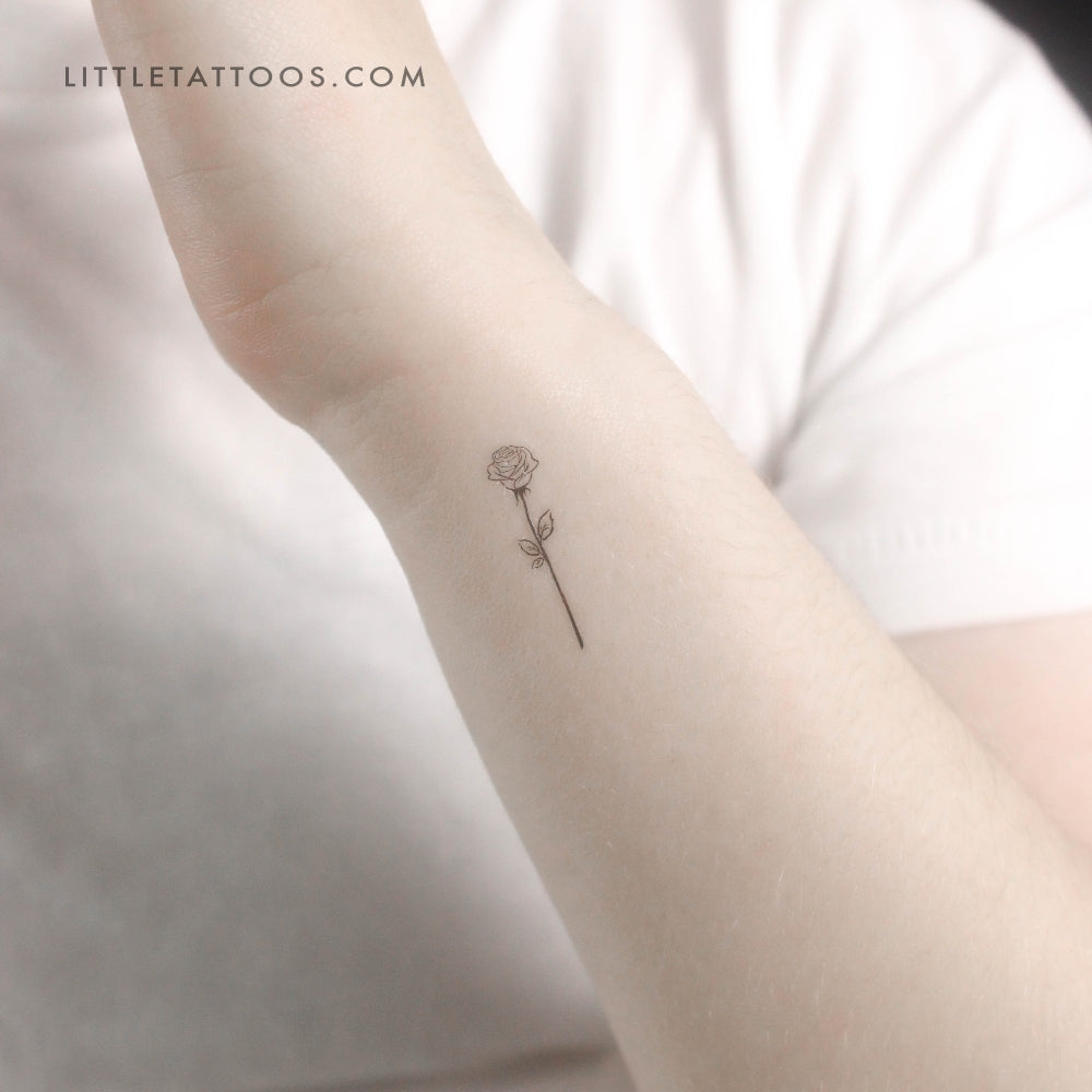 Tatuaje temporal de contorno de rosa negra (juego de 3)