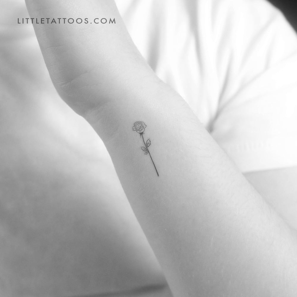 Tatuaje temporal de contorno de rosa negra (juego de 3)