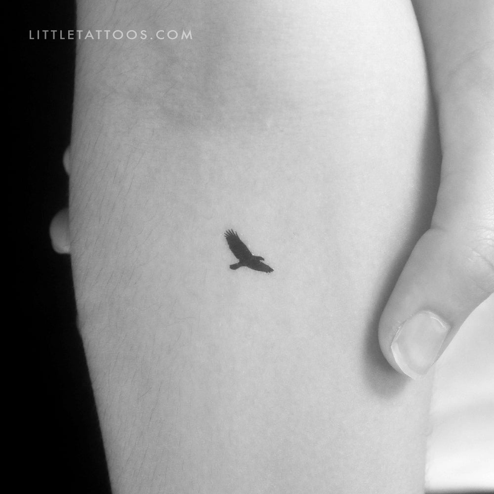 Tatuaje temporal pequeño de águila en vuelo (juego de 3)