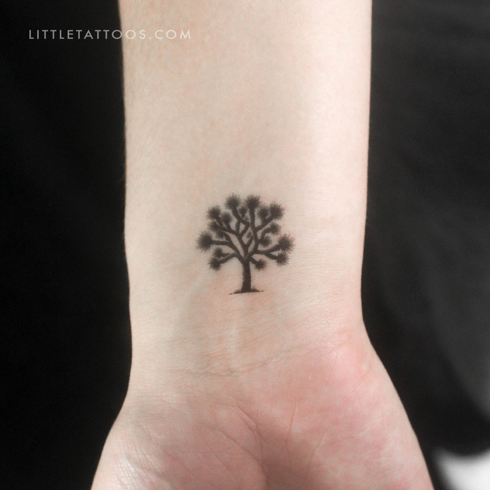 Tatuaje temporal de árbol de Josué - Juego de 3